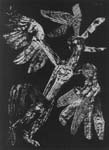 Death of the Griffin, 1969, woodprint collage, 70X50cm